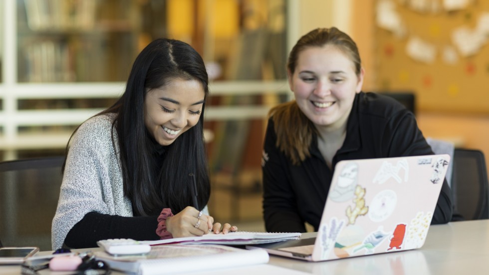 Students working together on an assignment