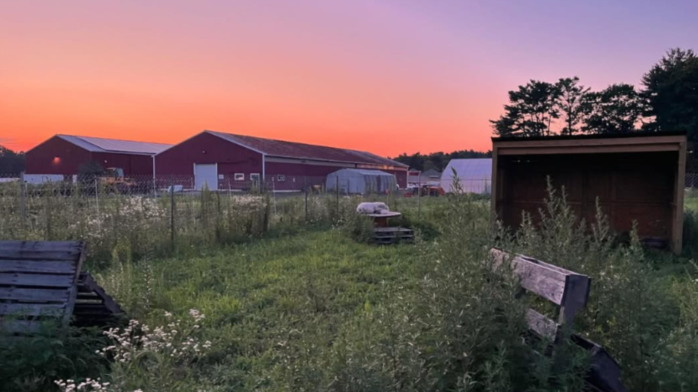 sunset at the farm