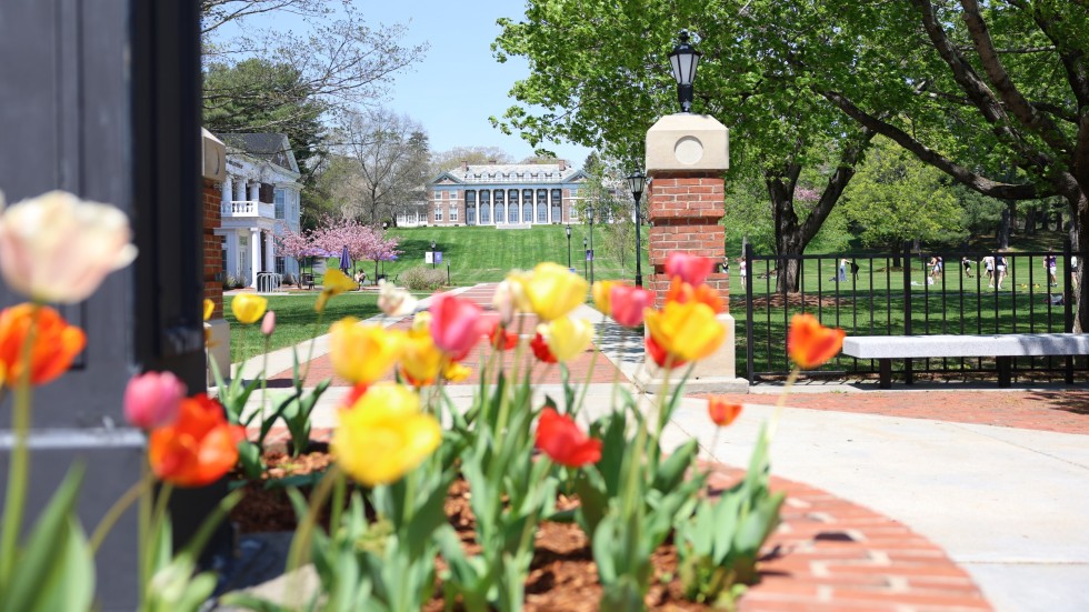 Donahue Hall with Tulips