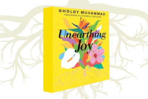 Unearthing Joy in Critical Literacy Discussions