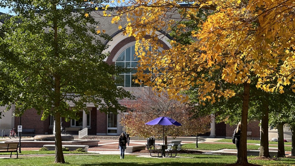 MacPhaidin Library