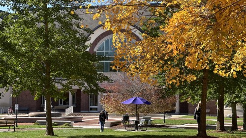 MacPhaidin Library