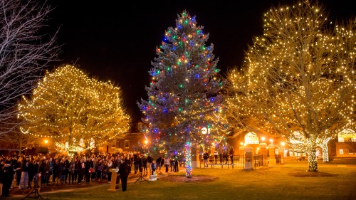 Three Christmas trees lit up on the Quad.