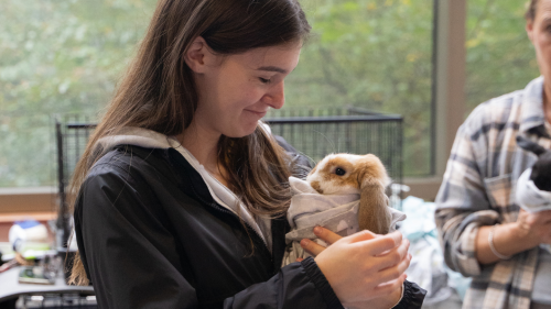 Student holding rabbit