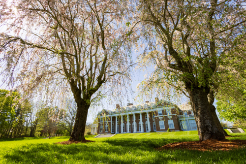 Donahue Hall photographed through trees.