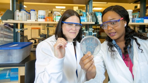 Professor and student doing research in the lab