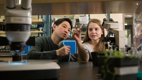  Biology Professor Irvin Pan works with a student in the $34 million state-of-the-art Shields Science Center