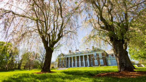 Donahue Hall photographed through trees.