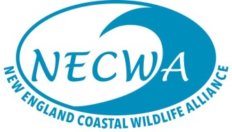 New England Coastal Wildlife Alliance