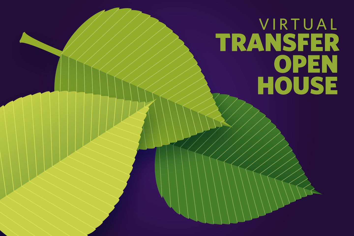 Virtual Transfer Open House Stonehill College