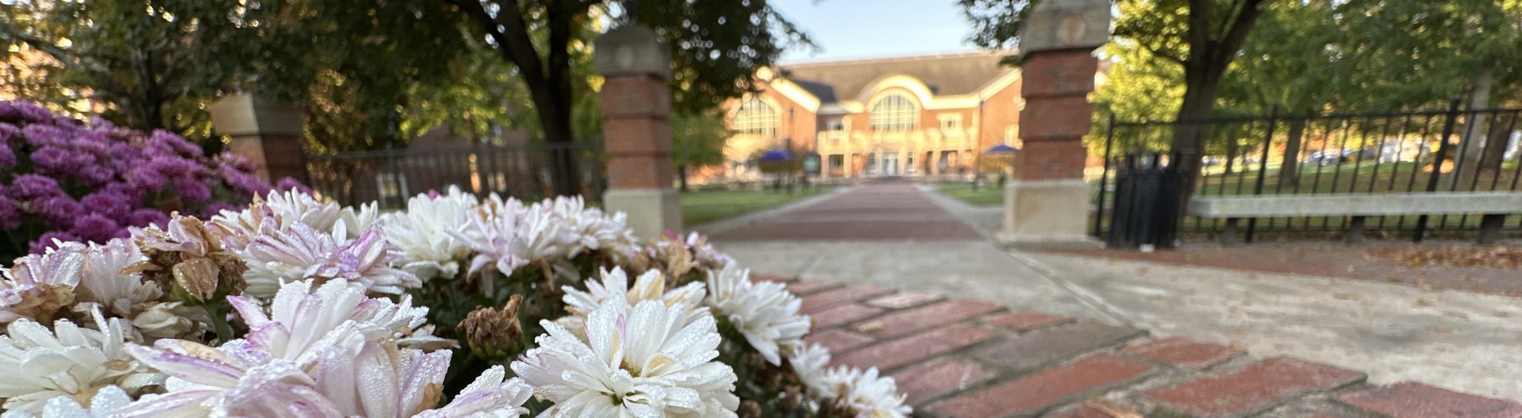 Exterior of the library during fall