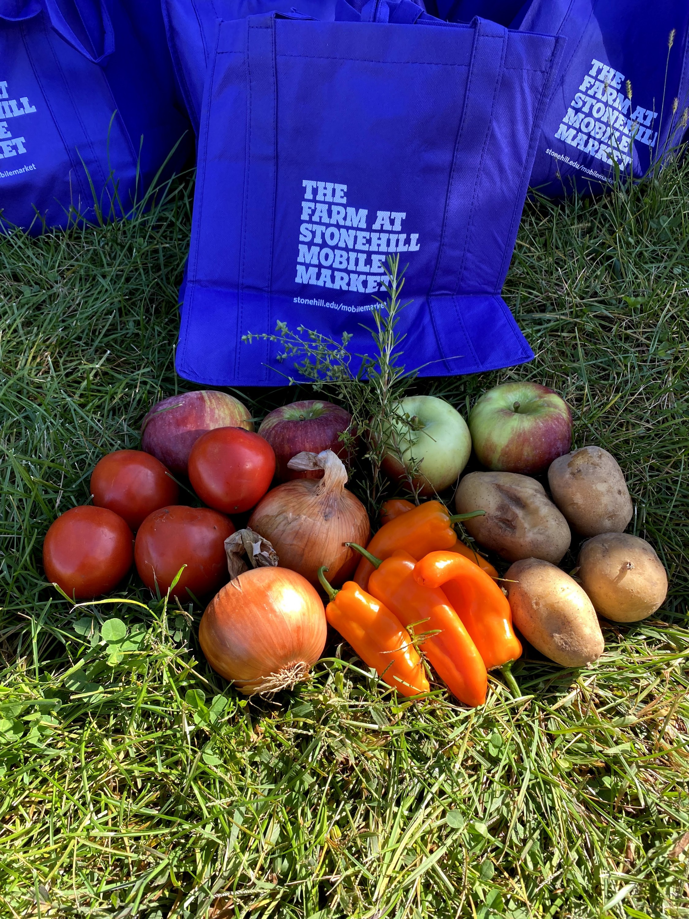 vegetables