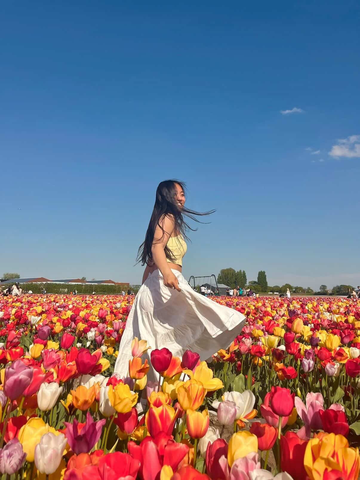 Student at Study abroad in The Netherlands