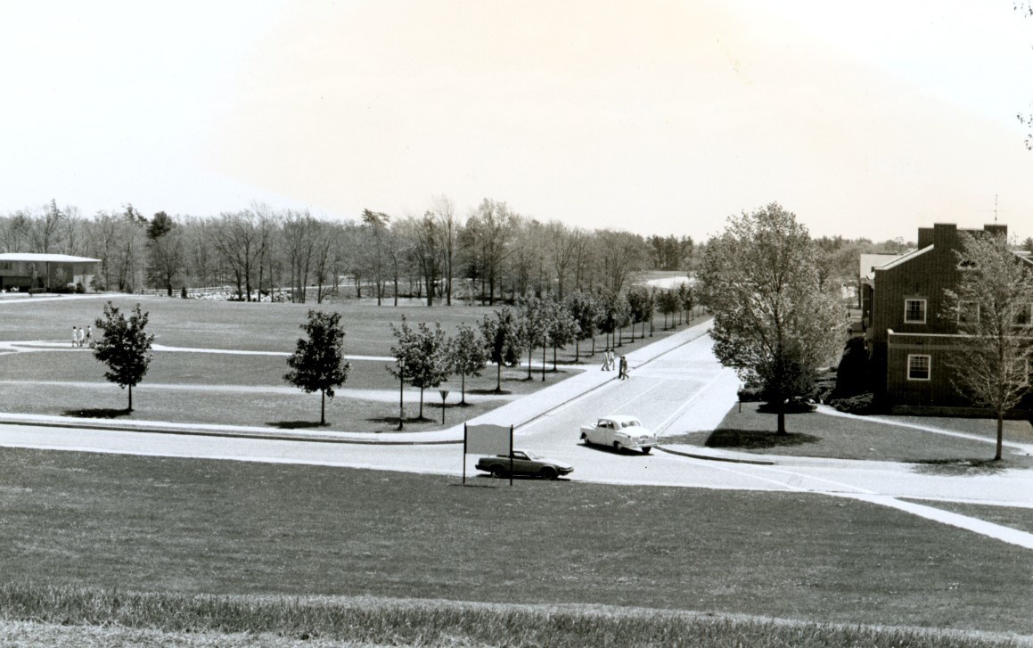 Trees planted around the quad. 