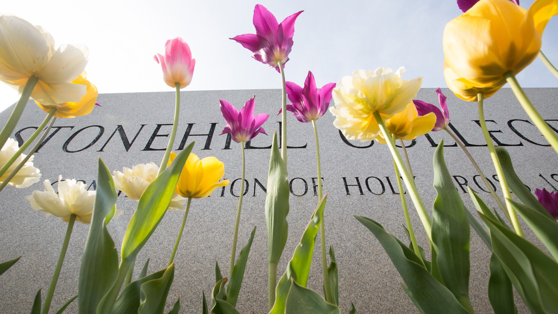 Stonehill College entrance sign with flowers